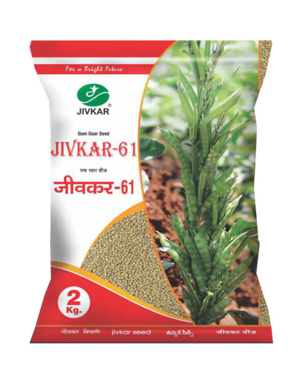 Jivkar 61